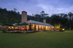 TEA TRAILS - Image 3