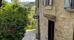 L'écrin vert - Image 5