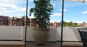 A Bogota On Holidays by Open - HOTEL CAS-EMBAJADA AMERICANA - Image 2