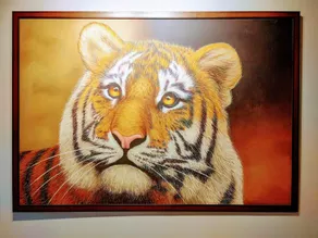 SAFARI QUEST - Image 4