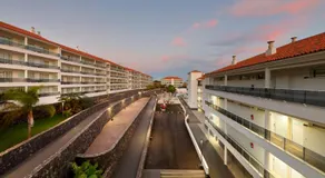 Marinell Collection Palm-Mar - Image 3
