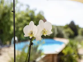 Holiday Home in Brignoles with Private Pool - Image 4