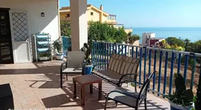 La Cycas - Image 2