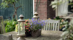 Sterrenhoeve - Image 3