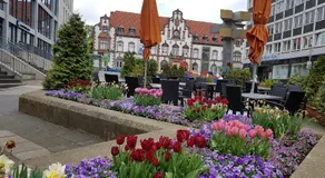 Hotel Kölner Hof - Image 5