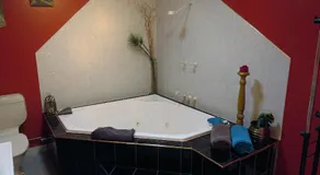 Gumtree on Gillies Bed and Breakfast - Image 2