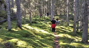 Bruksgården - Image 5