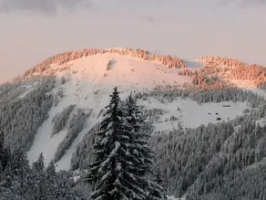 Chalet in Chatel near Les Portes du Soleil - Image 2