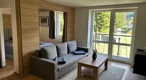 Apartmány Gryf Harrachov u sjezdovky - Image 2