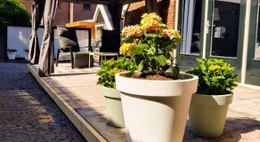 B & B Diever - Image 5
