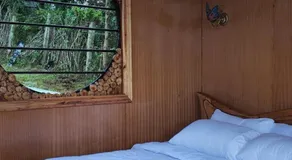 Romantic Forest Cabin, Jacuzzi & Mt Kenya and River Views - Image 2