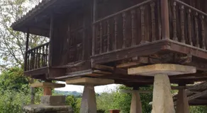 L'Arbolea de Rodiles - Image 4