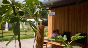 Bosruck Chalet - Image 5