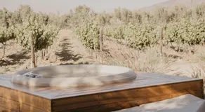 Campera Valle de Guadalupe - Image 4