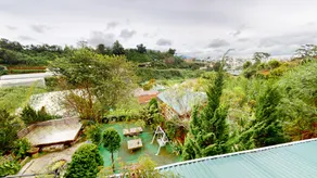 Đen long homestay & coffee - Image 3