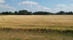 FIELDVIEW FARMHOUSE BED AND BREAKFAST - Image 5