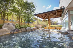 Nakatsugawa Onsen Hotel Hanasarasa - Image 3
