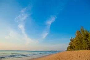 Andamania Beach Resort, Khaolak - SHA plus - Image 5