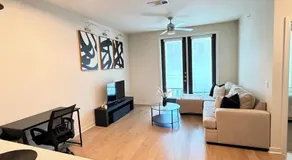 Luxury Downtown Houston Skyline Suite - Image 2