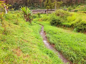 Ciwidey Jungle Camp & Cabin - Image 3