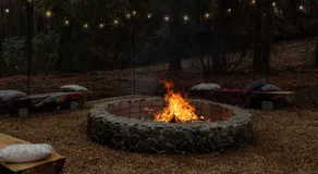 Tree Farm Stay Fire Pit & Grill WOW-King Suite - Image 4