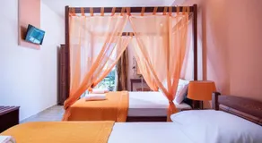 Elena Studios and apartments - Image 2