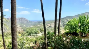 Ideal Apartamento - Guadalest - Image 4