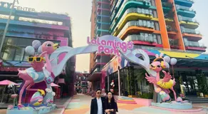 FlamingoHải Tiến- IBIZA - Image 4