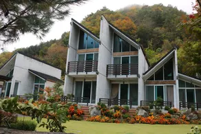 Yeongwol Gureumae Dalgadeutsi Pension - Image 3