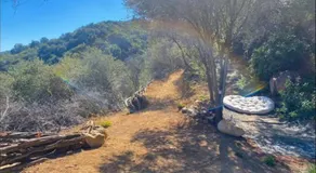 Quaint Cabin with private Trails & Creek - Image 5