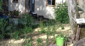 le relais des fees - Image 4