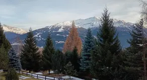 Fiocco di neve - Image 4