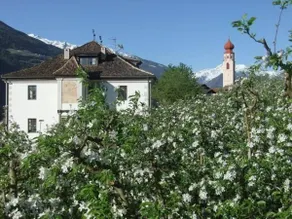 Pension Apartments Pardell - Image 3