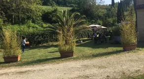 Affitta Camere Il Pettirosso - Image 4