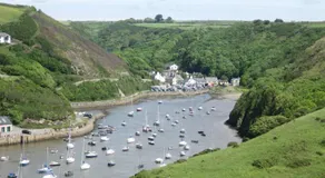 St Brides View Solva - Image 3