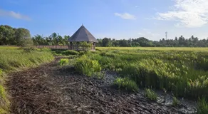 Endhaa, Divers Home - Image 5