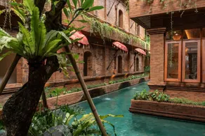 Baliris legian - Image 4