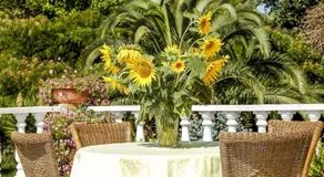 Hotel ALEXANDROS - Image 5