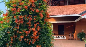Janiro Tea Trees Villas - Image 3