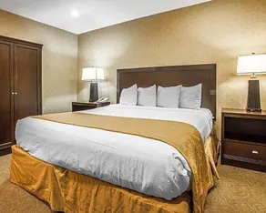 Quality Inn & Suites Hotel Seattle Center - Image 3