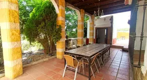 Cucazorra - Image 5