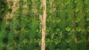 Bliss Farm Stays | Sha Farms & Villa - Image 4
