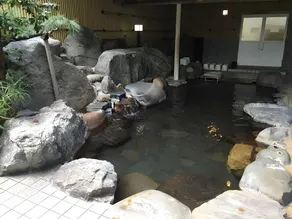 Shinshiro Kanko Hotel - Image 4