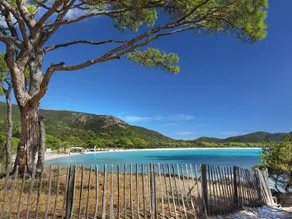 PetraLegna - Image 5