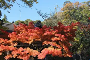 Reiah Hotel Otsu Ishiyama - Image 2