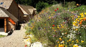 Domaine des Marequiers le Gite Aigremoine - Image 4