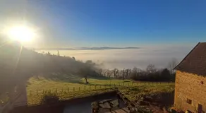 Grand Chêne - Image 3