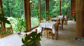 Chambres d'hôtes Les Rondins De La Fecht - Image 3