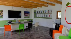 Bargiolina - Image 5