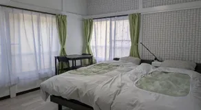 Manga House Awesome Shino - Image 2